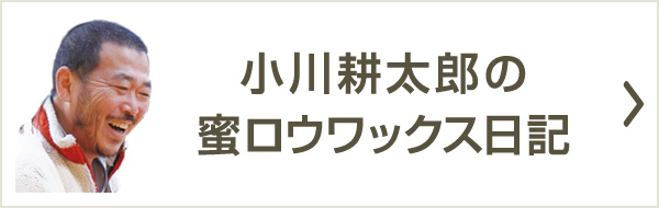 蜜ロウワックス日記