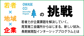 若者×地域×企業　若者力が企業課題を解決していく、尾鷲商工会議所からはじまる、あたらしい試み。長期実践型インターンシッププログラムとは