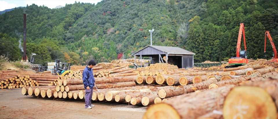巡りめぐる森林循環を支える「環」