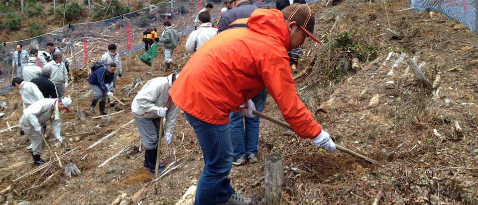 巡りめぐる森林循環を支える「環」