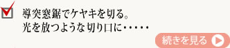 導突窓鋸でケヤキを切る。光を放つような切り口に・・・