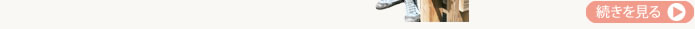 続きを見る