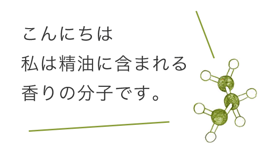 こんにちは。私は精油に含まれる香りの分子です。