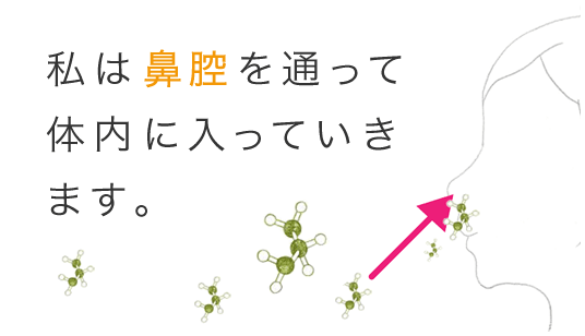 私は鼻腔を通って体内に入っていきます。