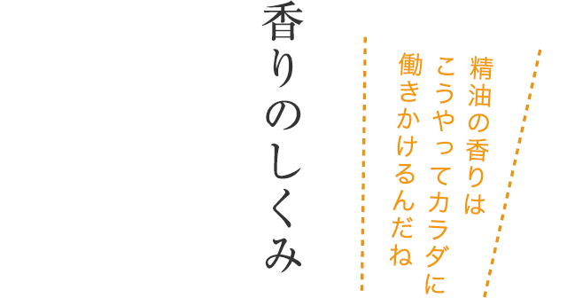 香りのしくみ ── 精油の香りはこうやってカラダに働きかけるんだね
