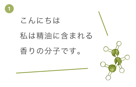 こんにちは。私は精油に含まれる香りの分子です。