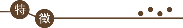 特徴